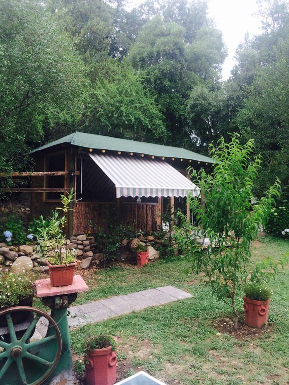 Cabanas Rahue Vilches Exterior foto